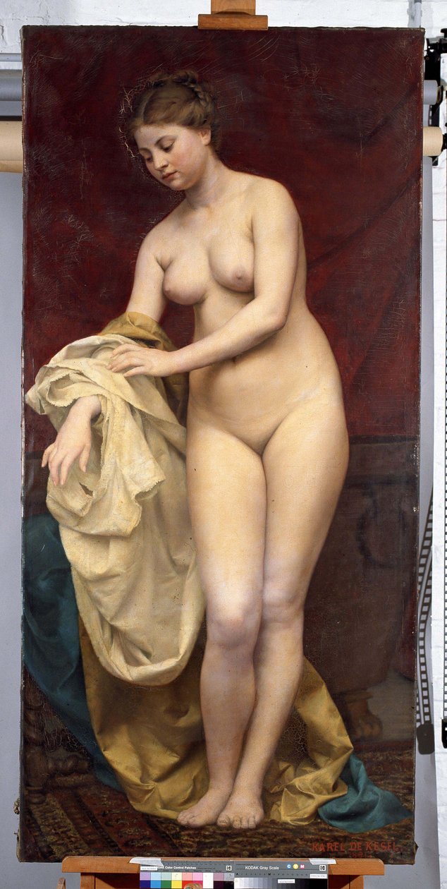Donna che fa il bagno da Karel De Kesel