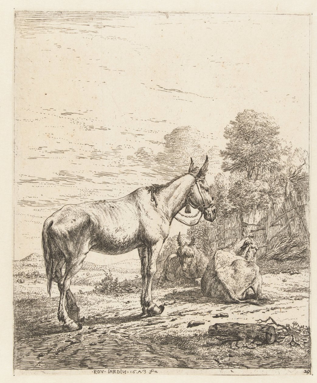 Mulo con campanello alla cavezza e due asini sdraiati da Karel Du Jardin