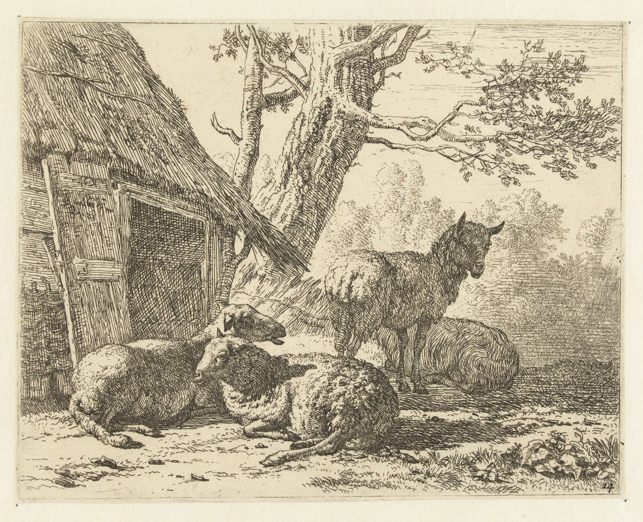 Quattro pecore da Karel Du Jardin
