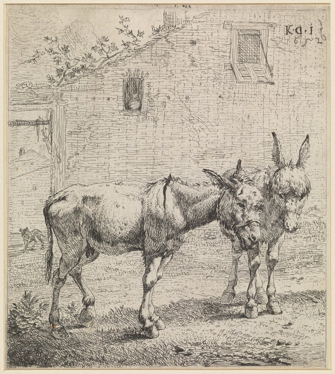 I due asini da Karel Dujardin