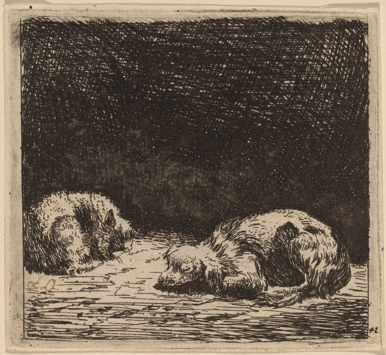 Cane e Gatto da Karel Dujardin
