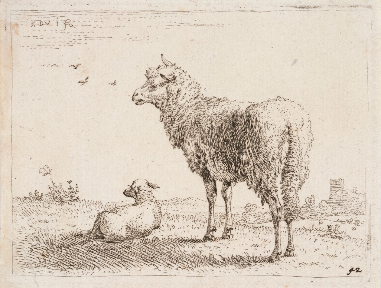 Pecora con agnello da Karel Dujardin