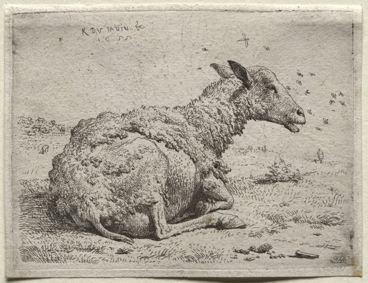 La pecora e le mosche da Karel Dujardin
