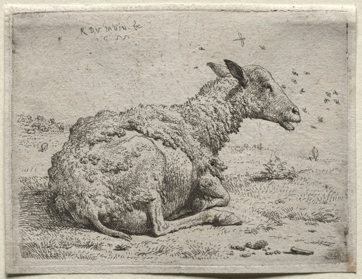 Le pecore e le mosche da Karel Dujardin