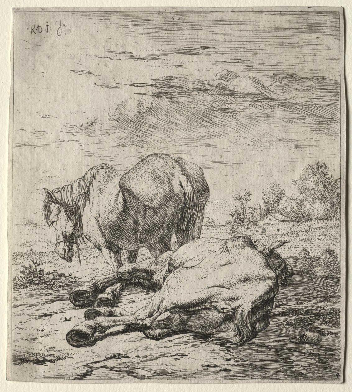 I due cavalli da Karel Dujardin