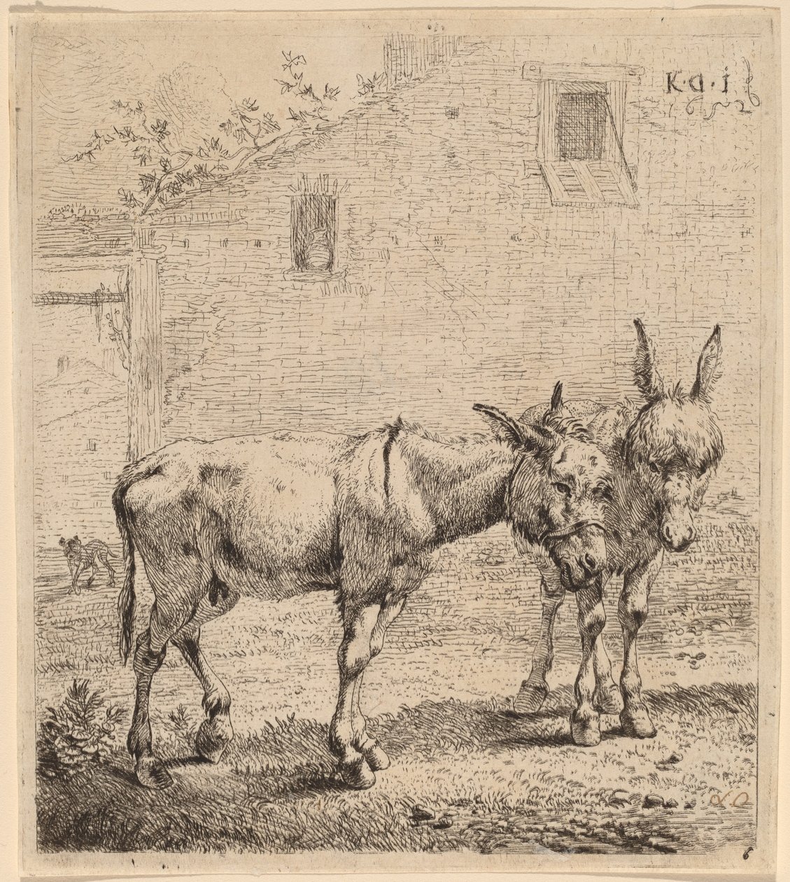 Due asini da Karel Dujardin