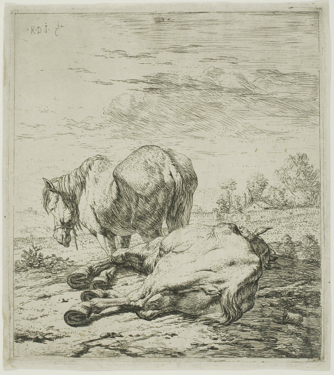 Due cavalli da Karel Dujardin