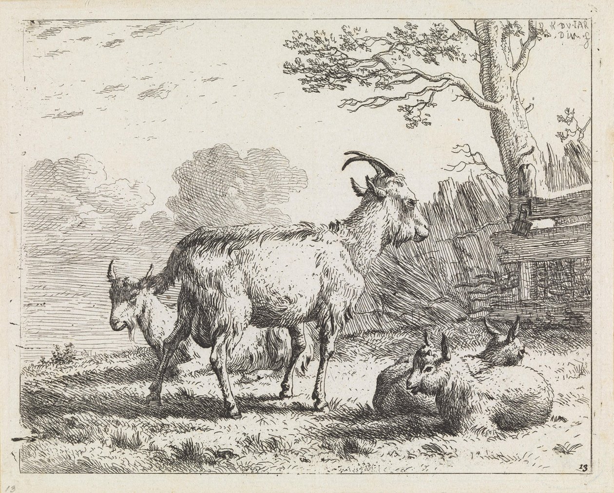 Quattro capre da Karel Dujardin