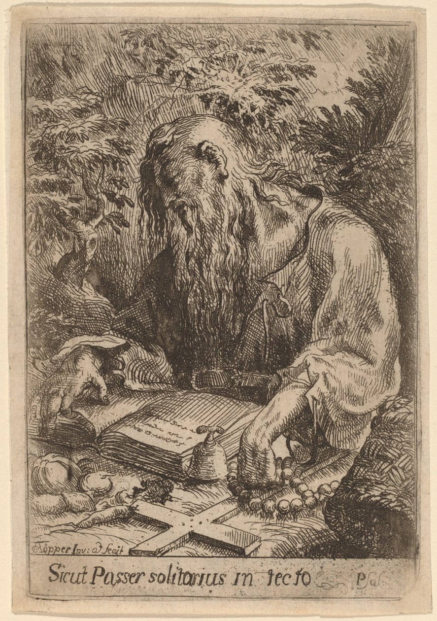 Un Santo Eremita da Karel Frantisek Töpper