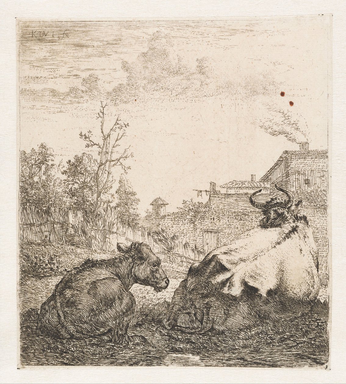 Mucca sdraiata con vitello da Karel du Jardin (signed by artist)