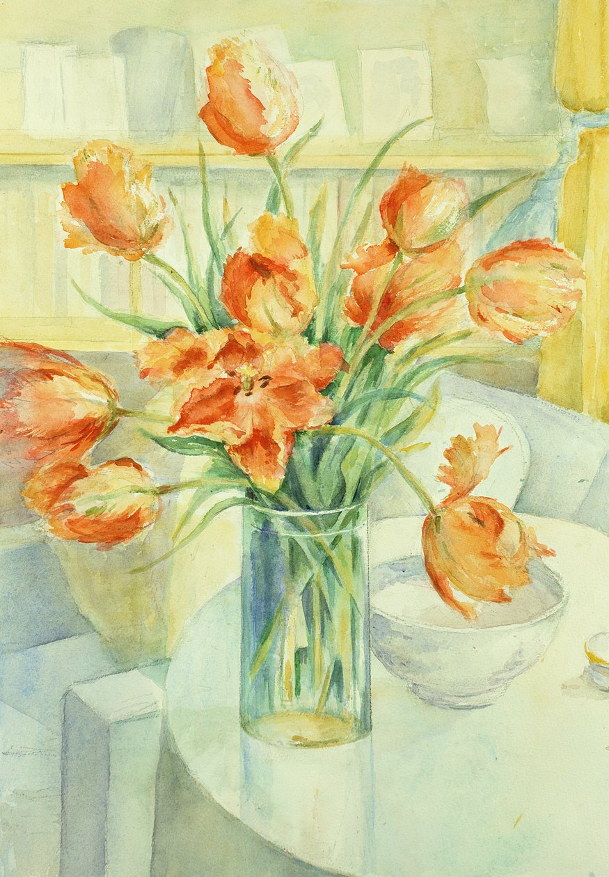 Tulipani dell