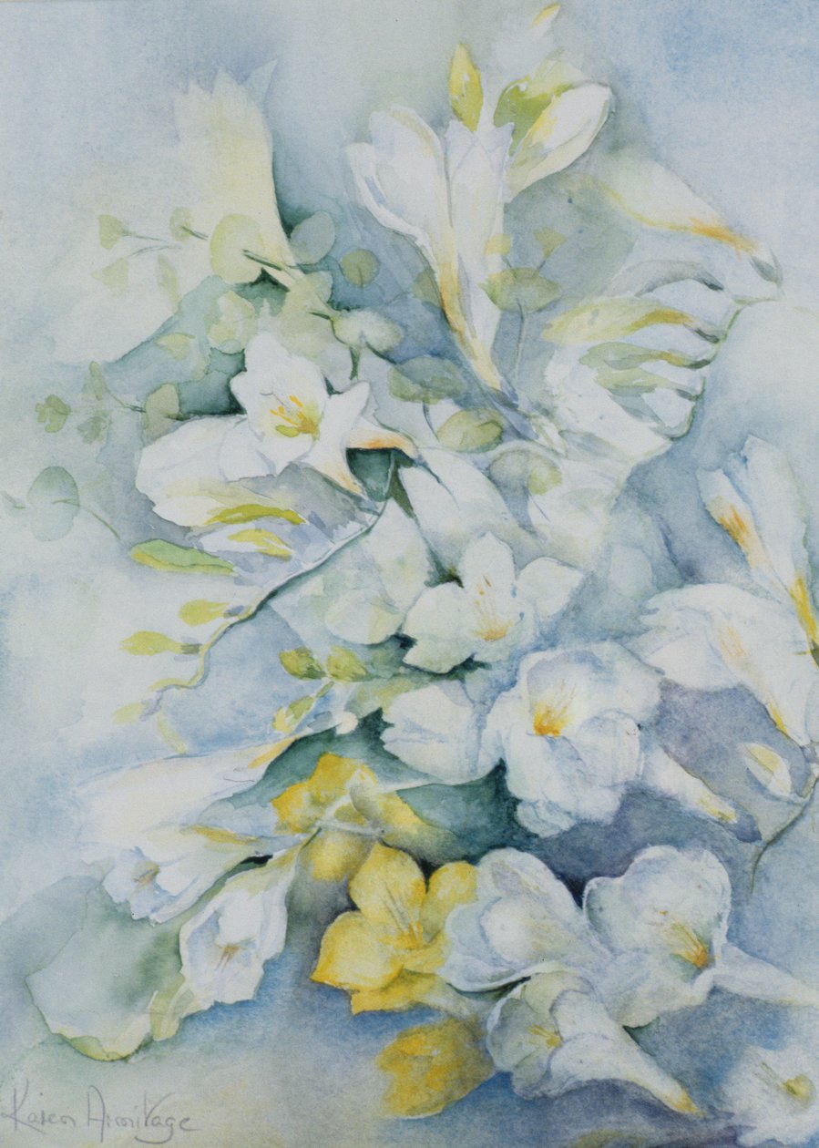 Freesia Eldus, bianco gigante da Karen Armitage