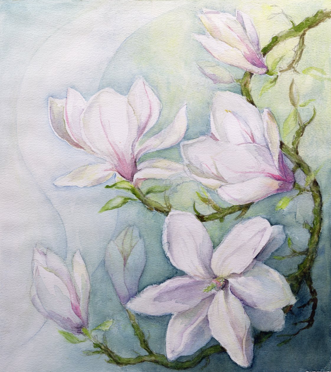 Magnolie da Karen Armitage