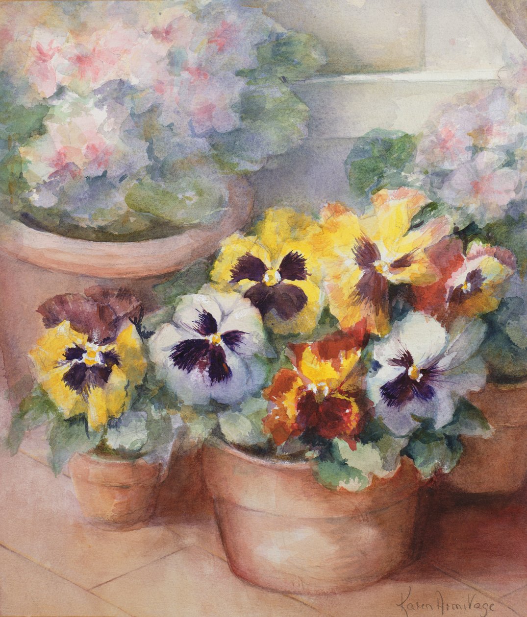Viola del pensiero in una serra da Karen Armitage