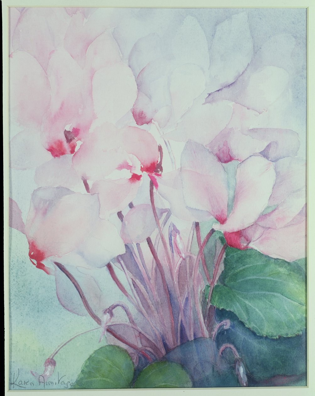 Ciclamino rosa, Victoria da Karen Armitage