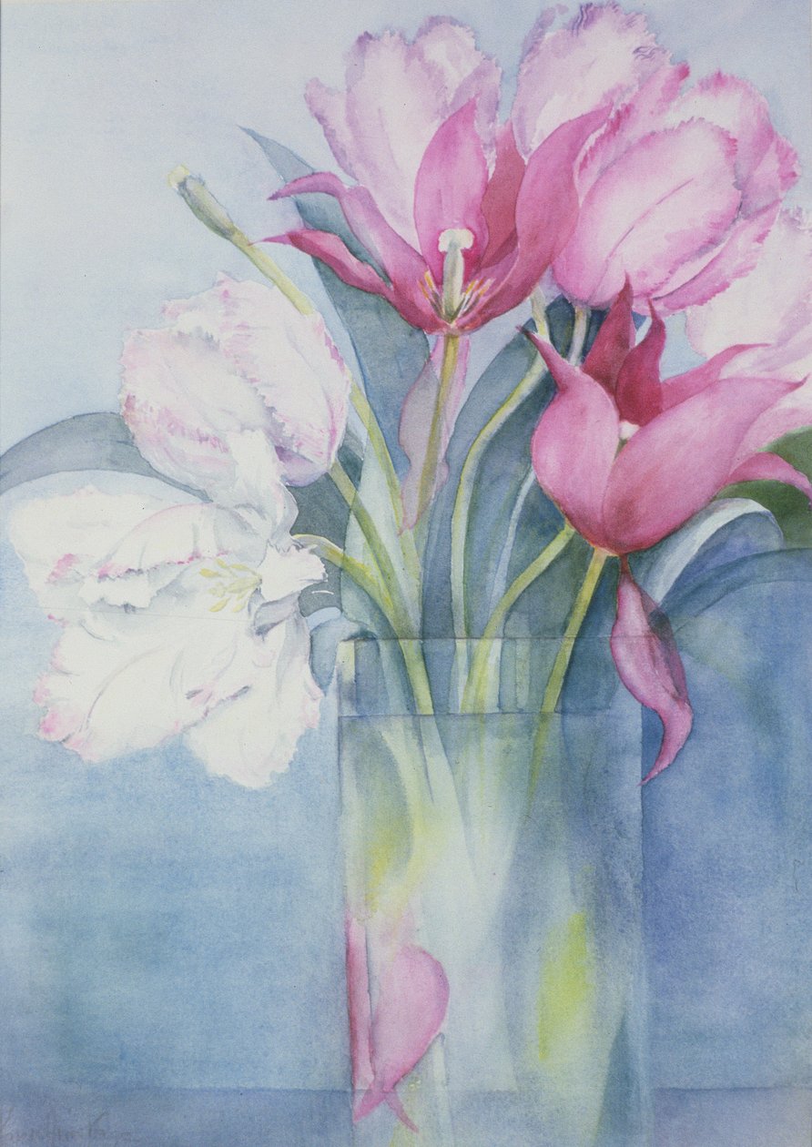 Tulipani pappagallo rosa e Marlette da Karen Armitage