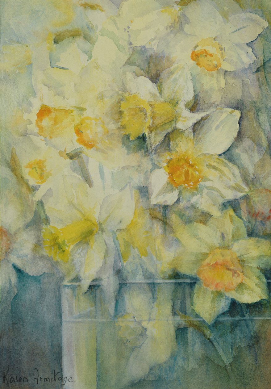 Primavera, narcisi misti in serbatoio n. 3, Mrs Krelage, Ice Follies e Fortune da Karen Armitage