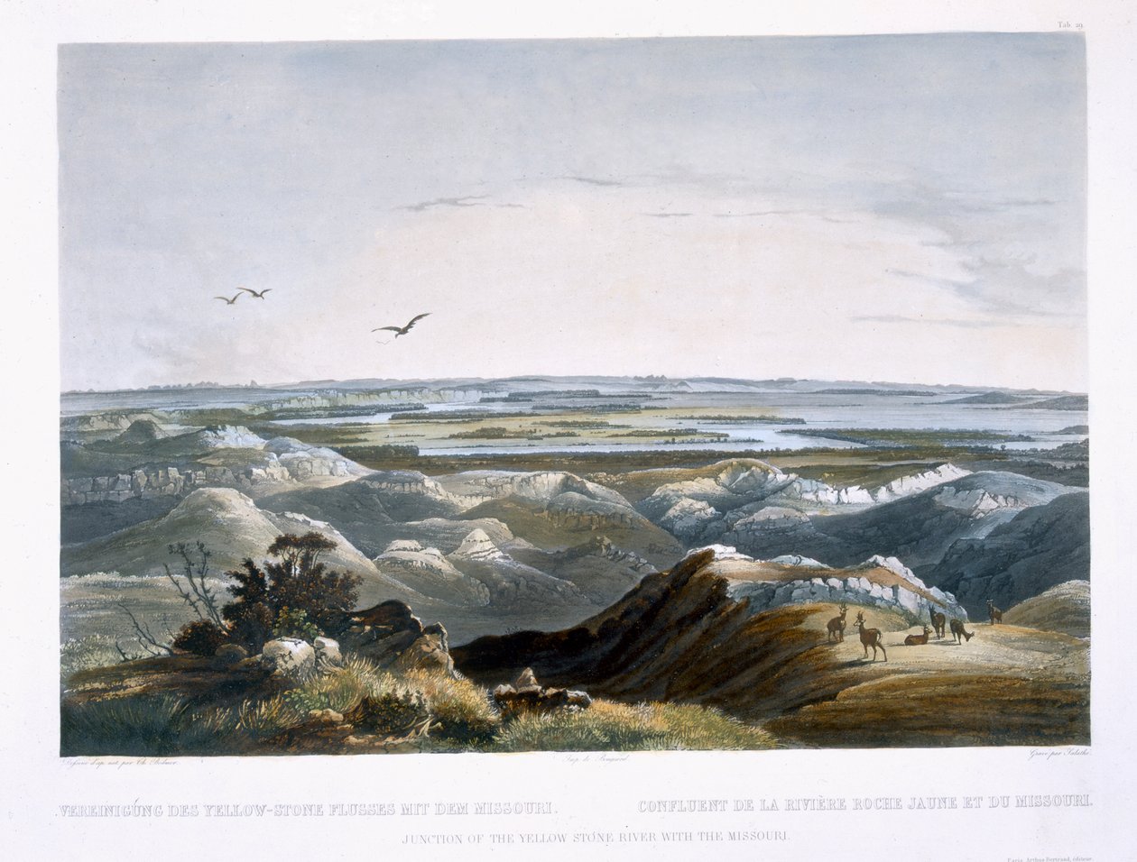 Confluenza del fiume Yellow Stone con il Missouri, tavola 29 dal Volume 2 di 