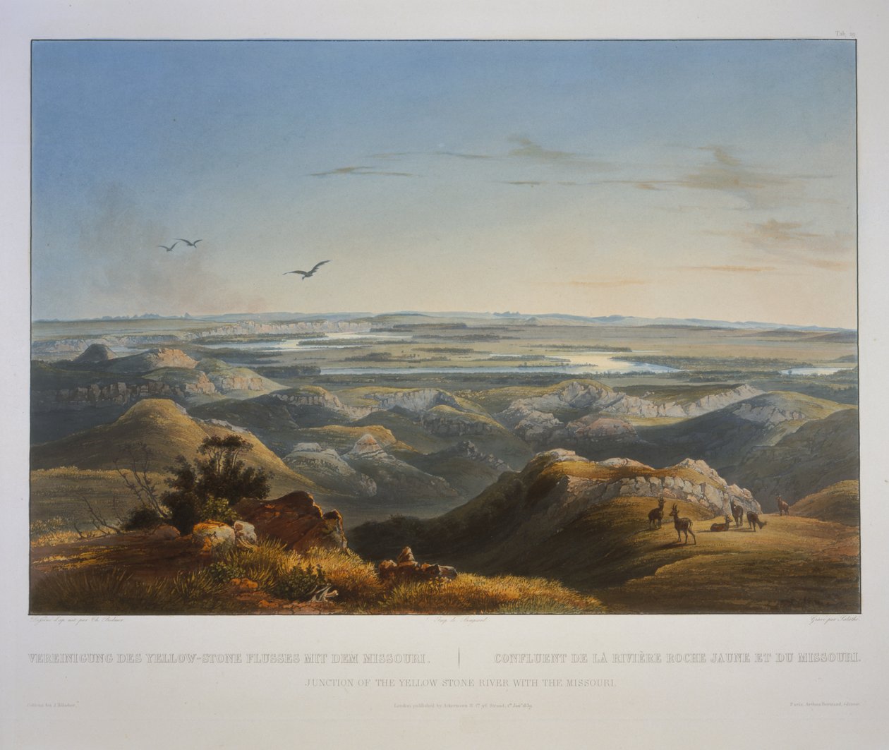 Giunzione del fiume Yellowstone con il Missouri da Karl Bodmer