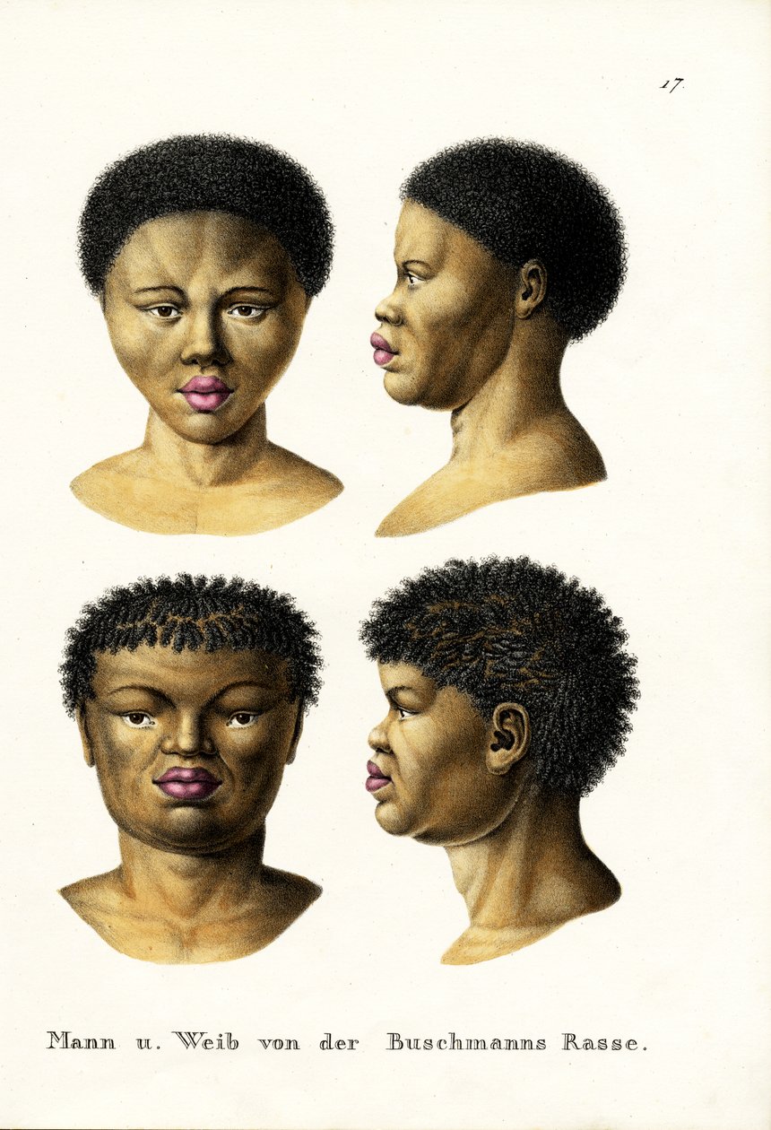 Boscimani, 1824 da Karl Joseph Brodtmann