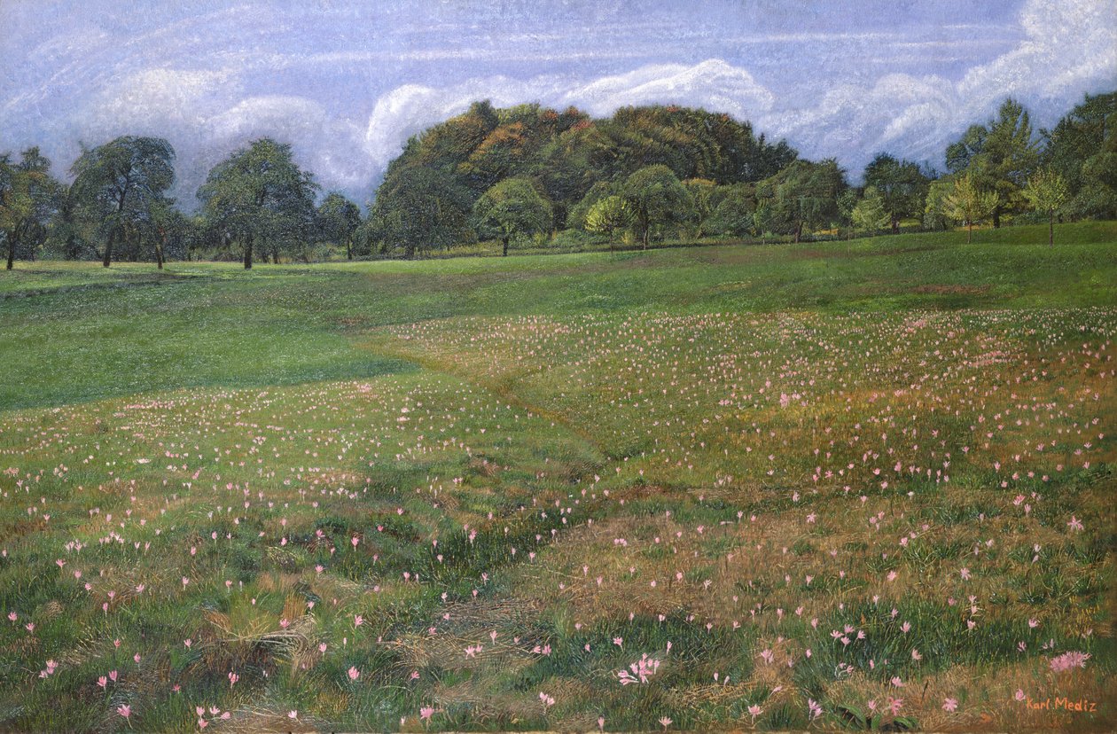 Un campo di crochi autunnali da Karl Mediz