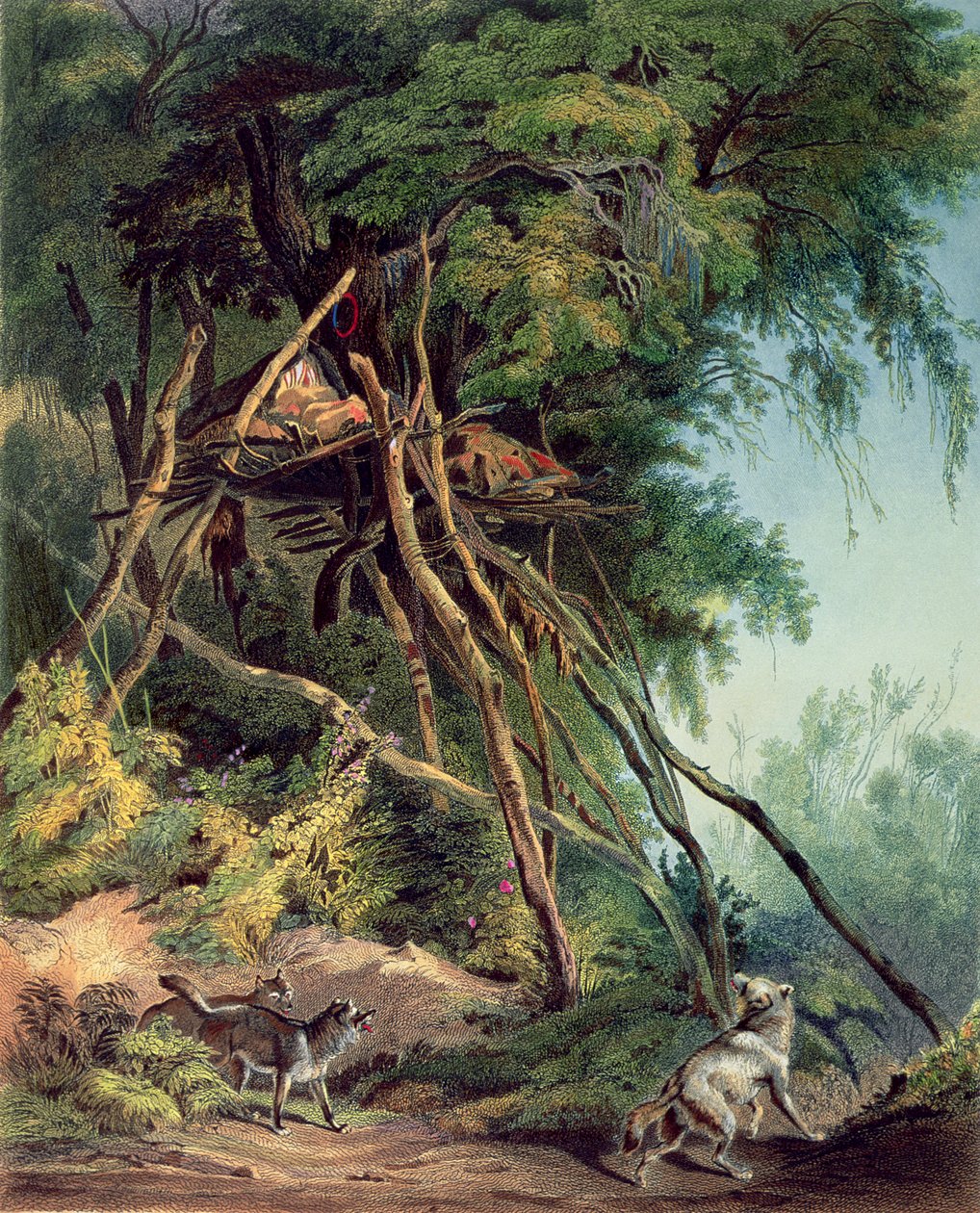 Tombe degli indiani Assiniboin sugli alberi, tavola 30 dal volume 2 di `Viaggi nell