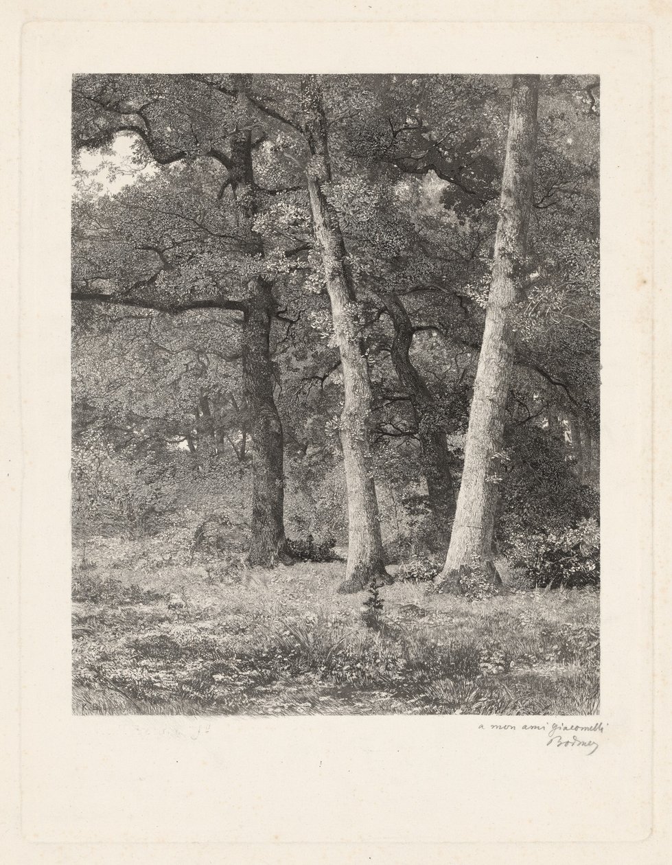 Una radura nella foresta da Karl Bodmer