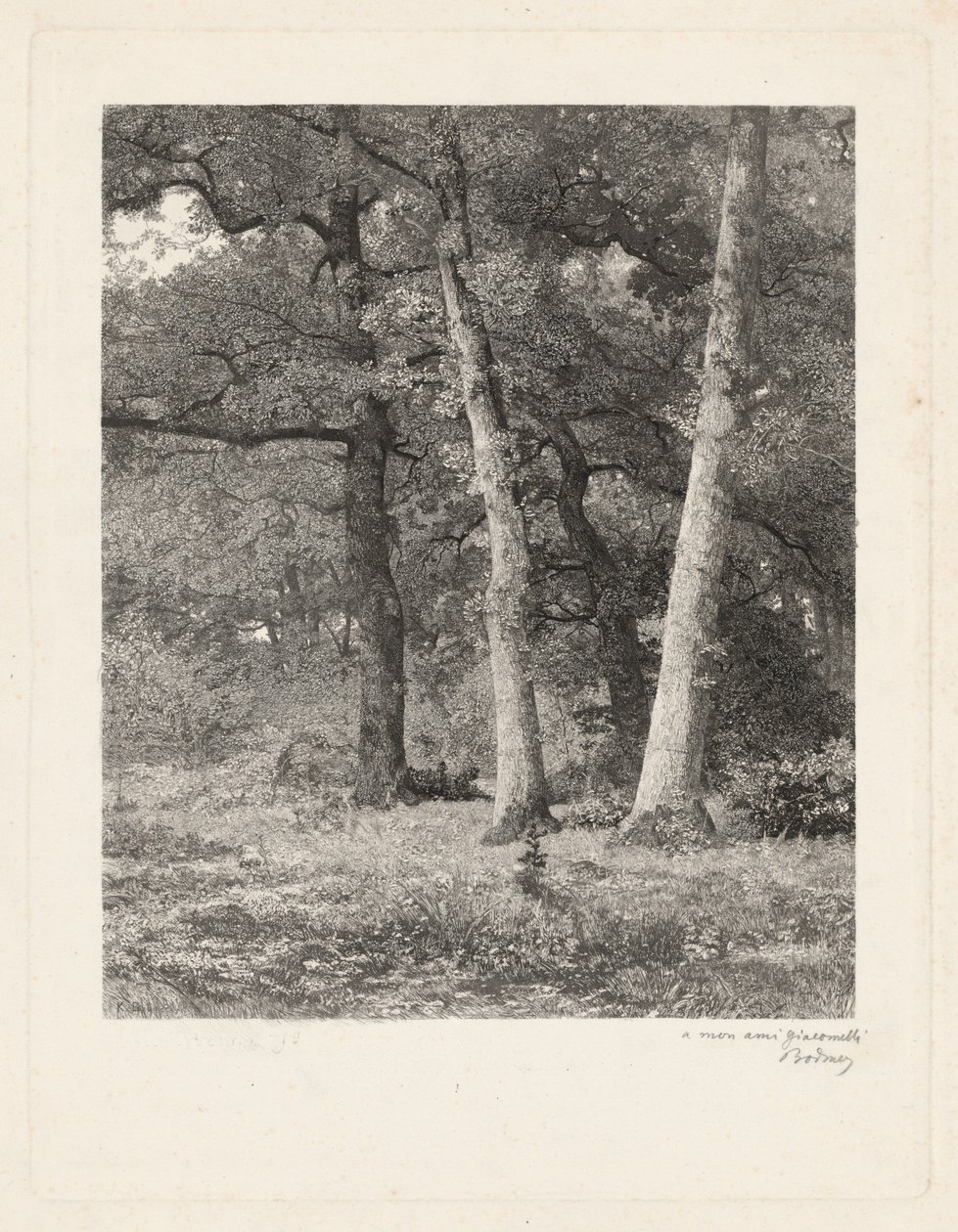 Una radura nel bosco da Karl Bodmer