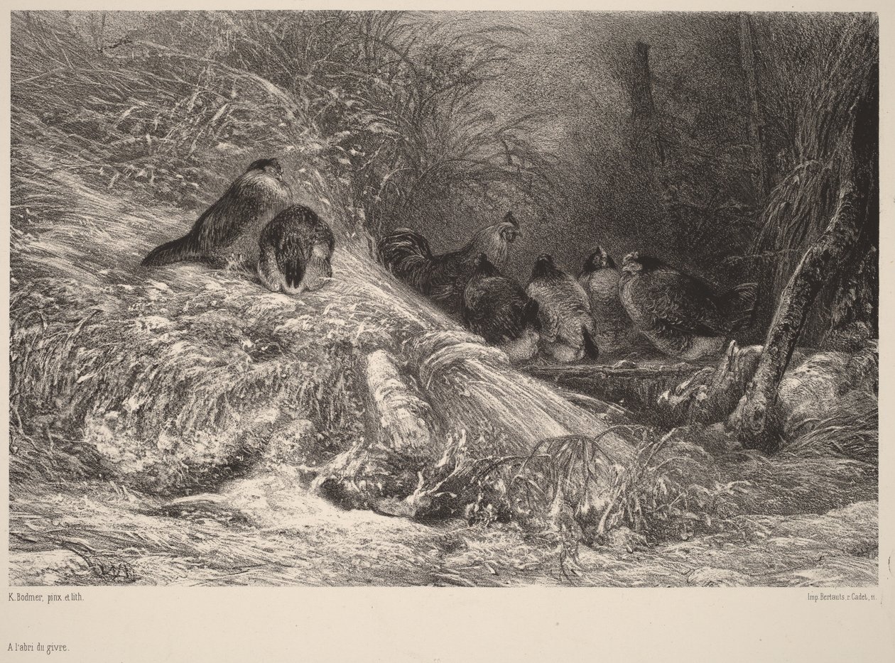 Al riparo dal gelo da Karl Bodmer