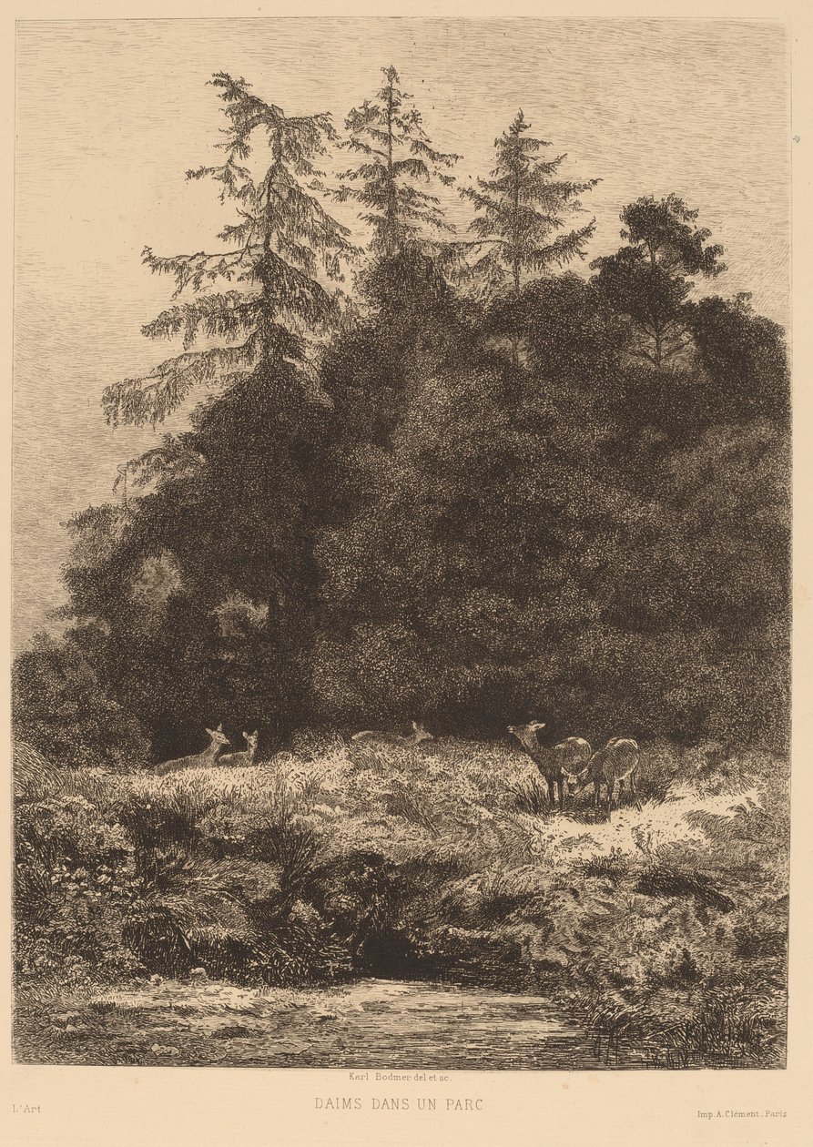Daini in un parco da Karl Bodmer