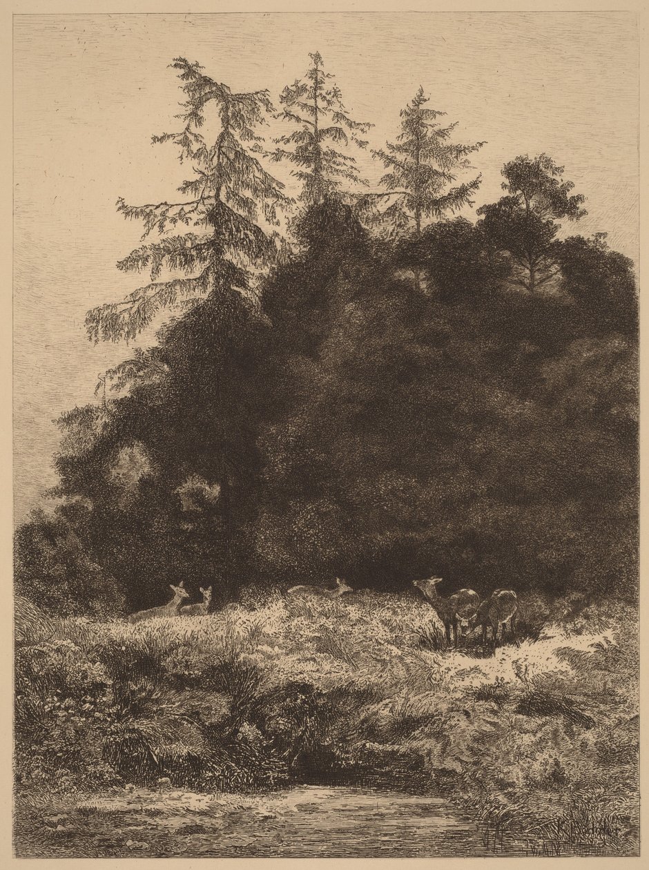 Cervi in un parco da Karl Bodmer