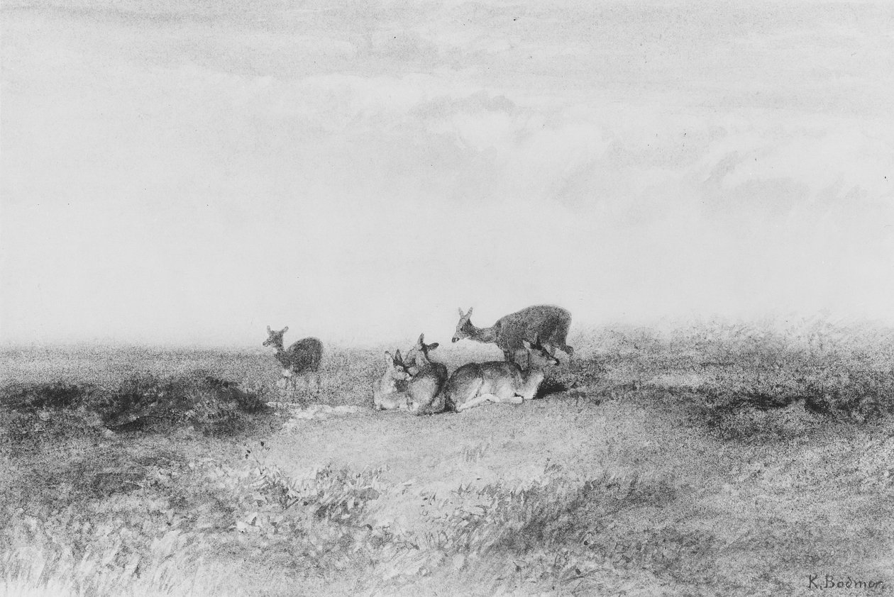 Cervo in un paesaggio da Karl Bodmer