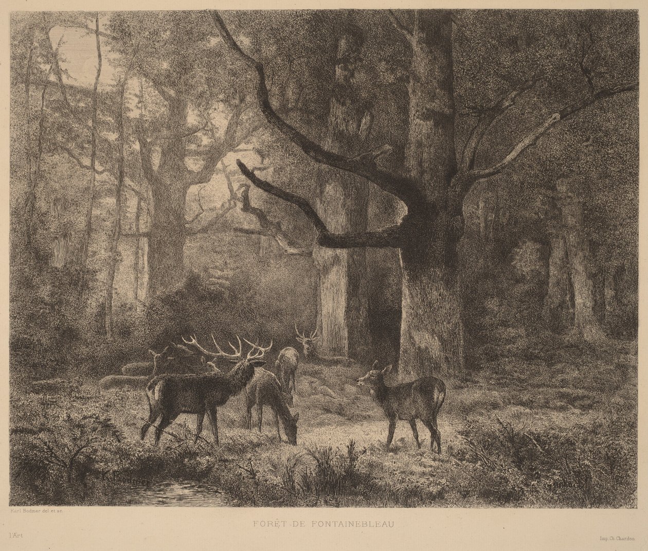 Foresta di Fontainebleau da Karl Bodmer