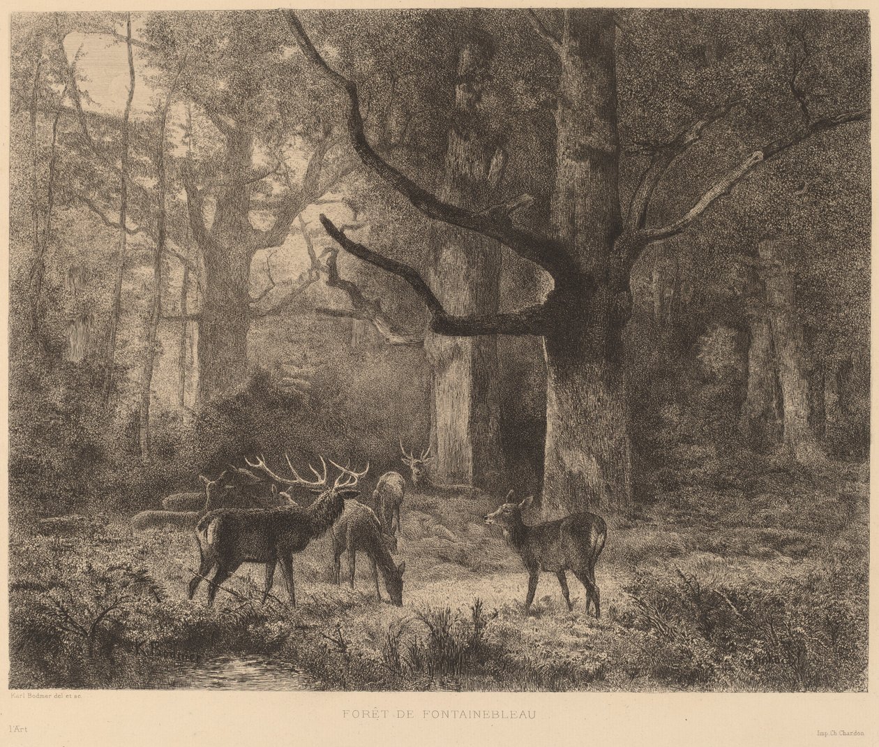 Foresta di Fontainebleau da Karl Bodmer