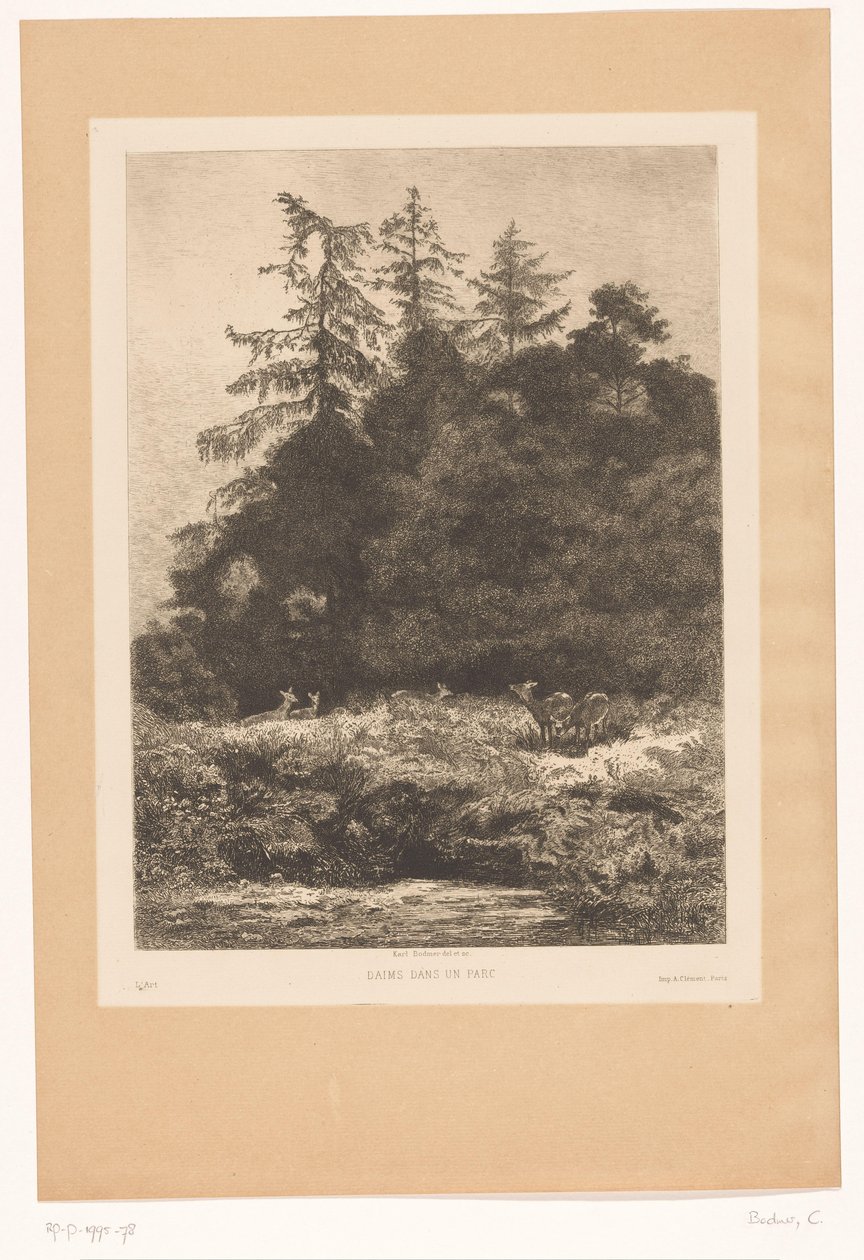 Cervi al margine di un bosco da Karl Bodmer