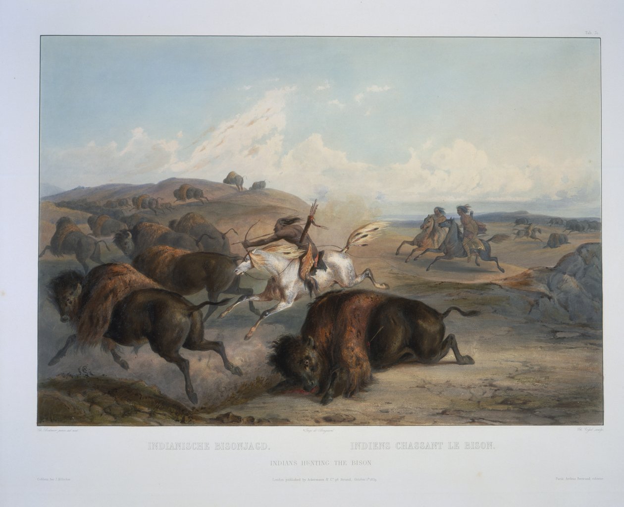 Indiani che cacciano il bisonte da Karl Bodmer