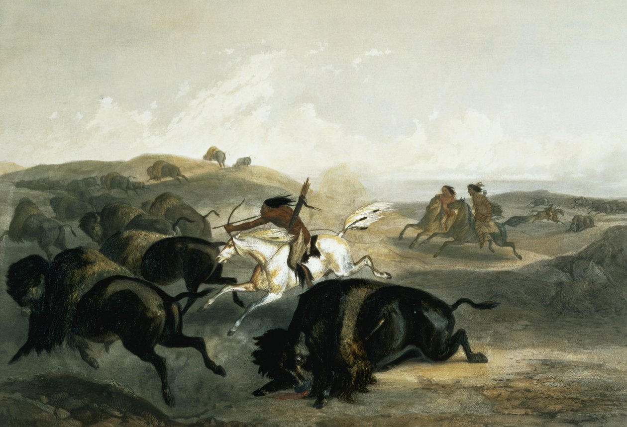 Indiani che cacciano il bisonte, tavola 31 dal Volume 2 di 
