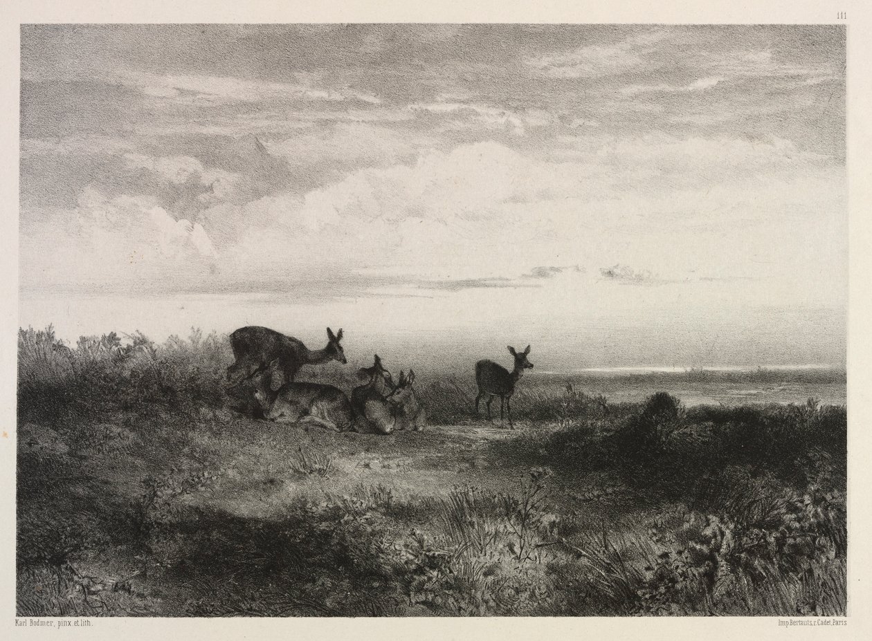Paesaggio con cervi, c. 1840 da Karl Bodmer