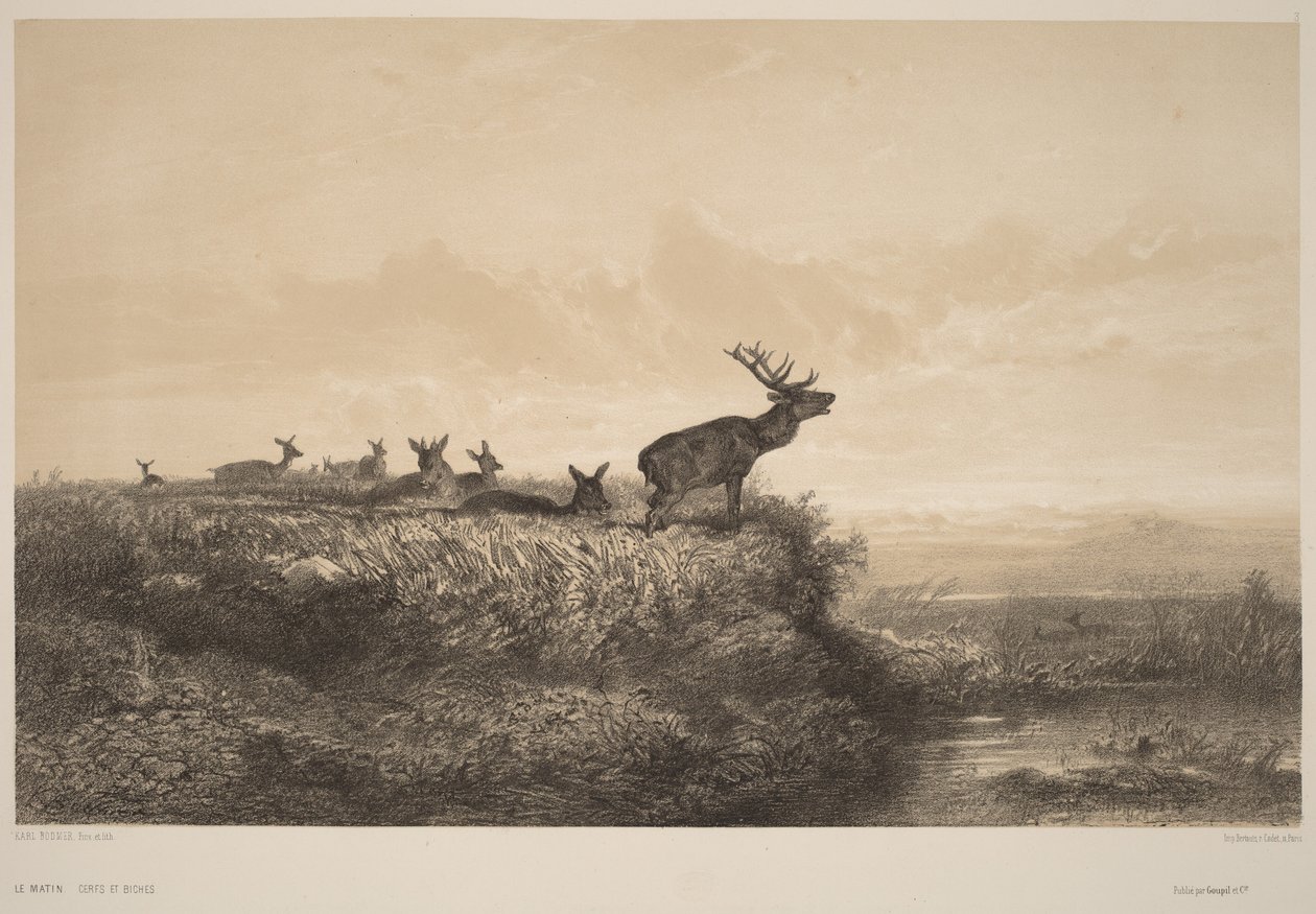 Il mattino da Karl Bodmer