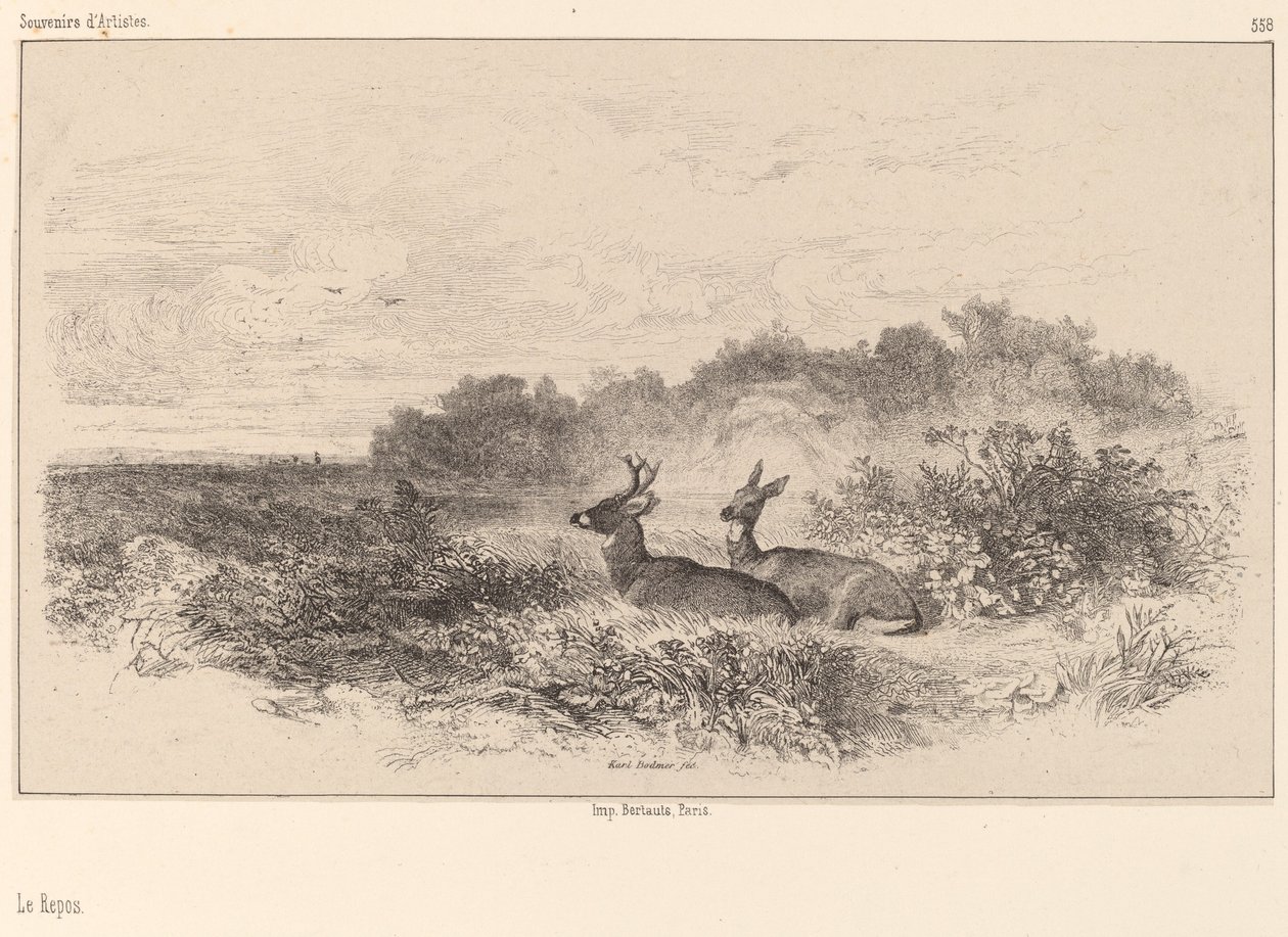 Le Repos da Karl Bodmer