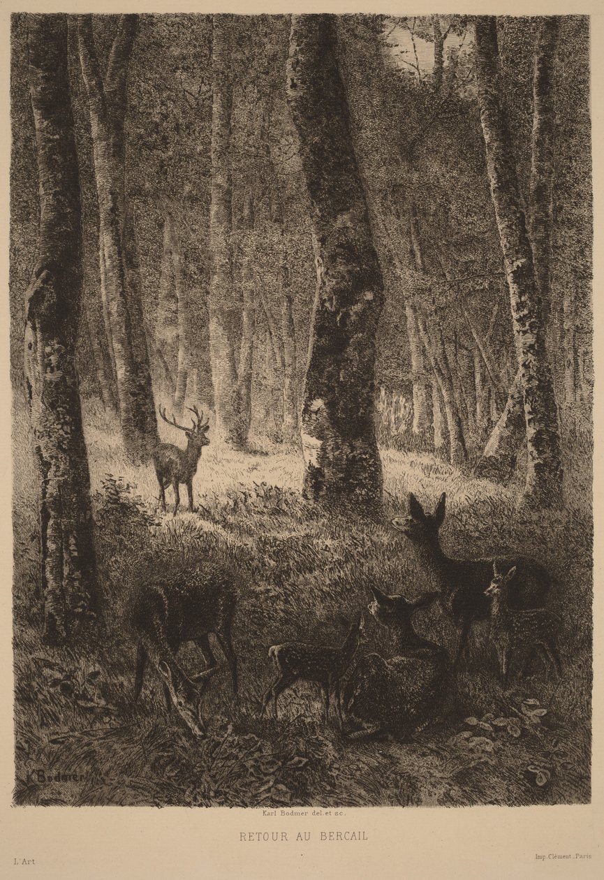 Ritorno al gregge da Karl Bodmer