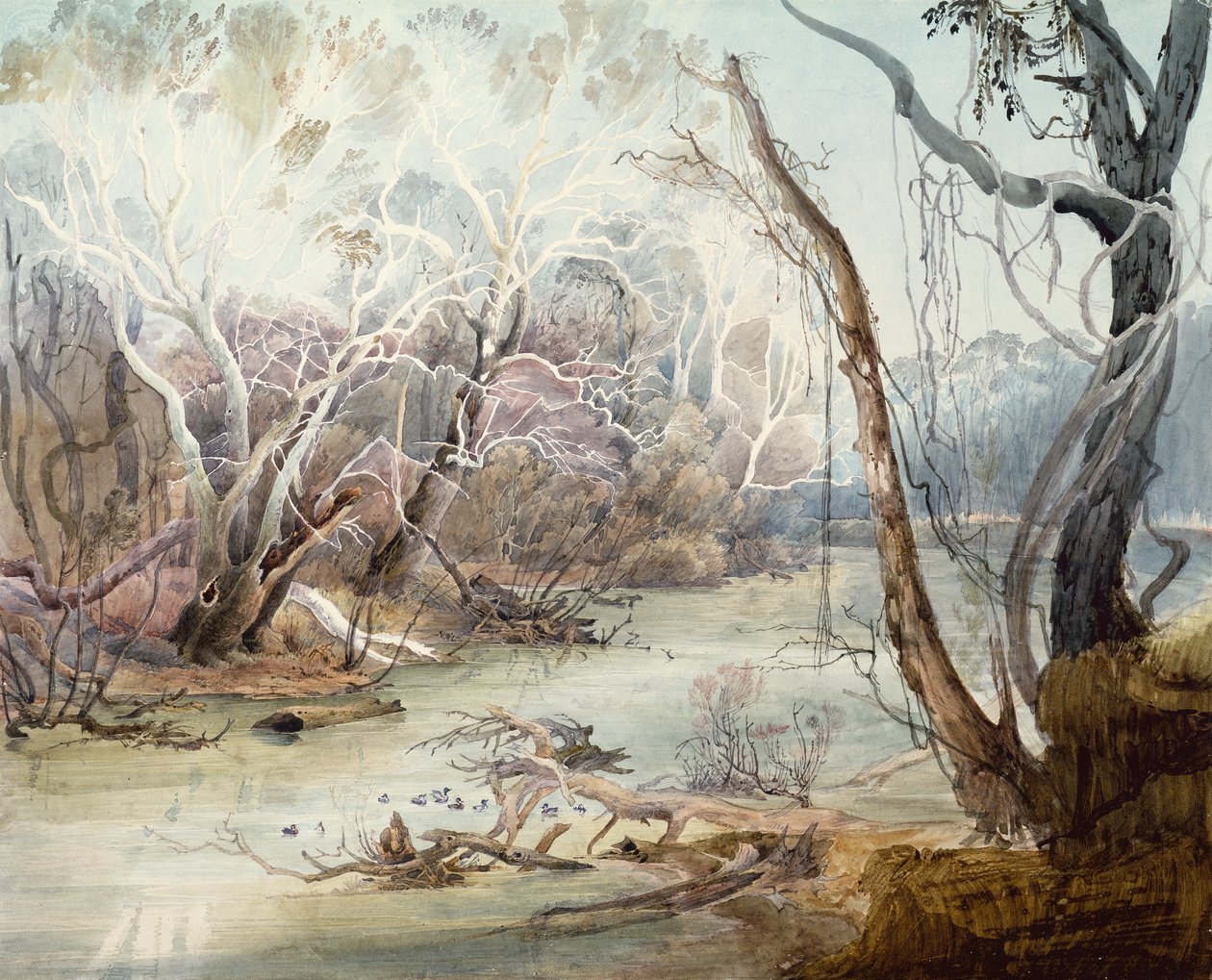 Il fiume Fox vicino a New Harmony, Indiana da Karl Bodmer