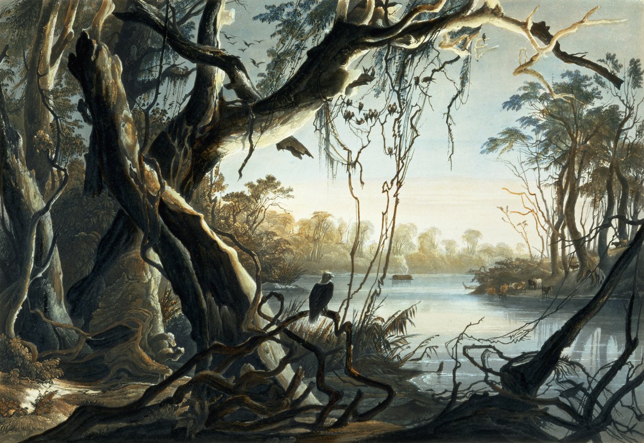 La foce del fiume Fox, Indiana, tavola 5 dal Volume 2 di 