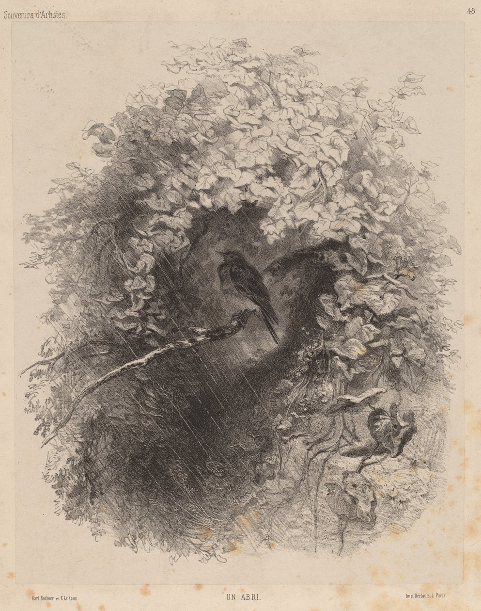 Un rifugio da Karl Bodmer