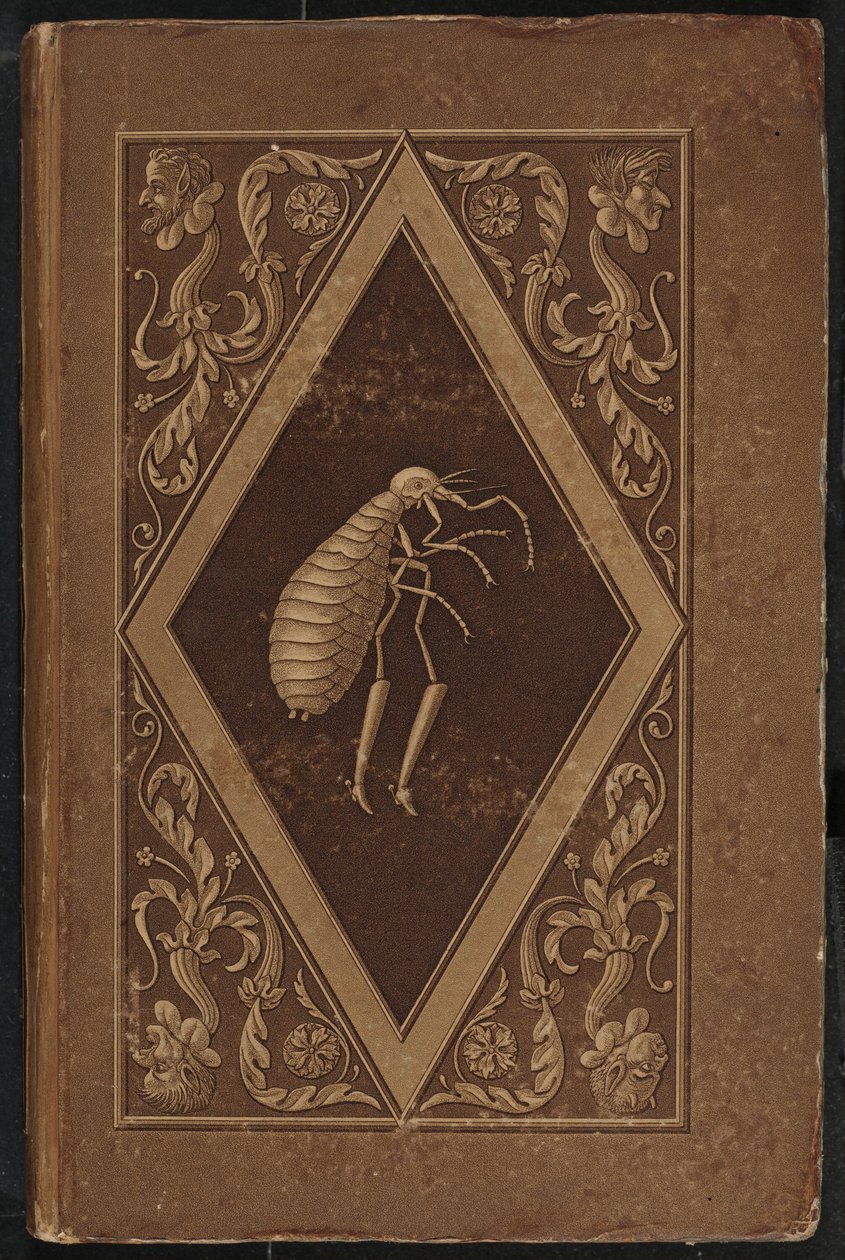 Meister Floh. Una Fiaba in Sette Avventure di Due Amici da Karl Friedrich Thiele, Ernst Theodor Amadeus Hoffmann