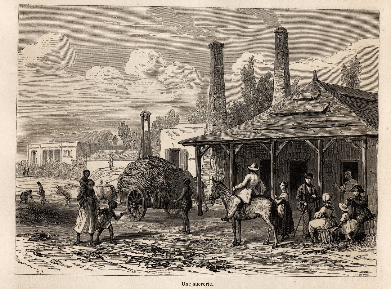 Una fabbrica di zucchero della Riviere du Rempart, a Mauritius. Disegno di Karl Girardet per illustrare il soggiorno di Alfred Verney a Mauritius nel 1861. Incisione in "Le tour du monde", a cura di Edouard Charton da Karl Girardet