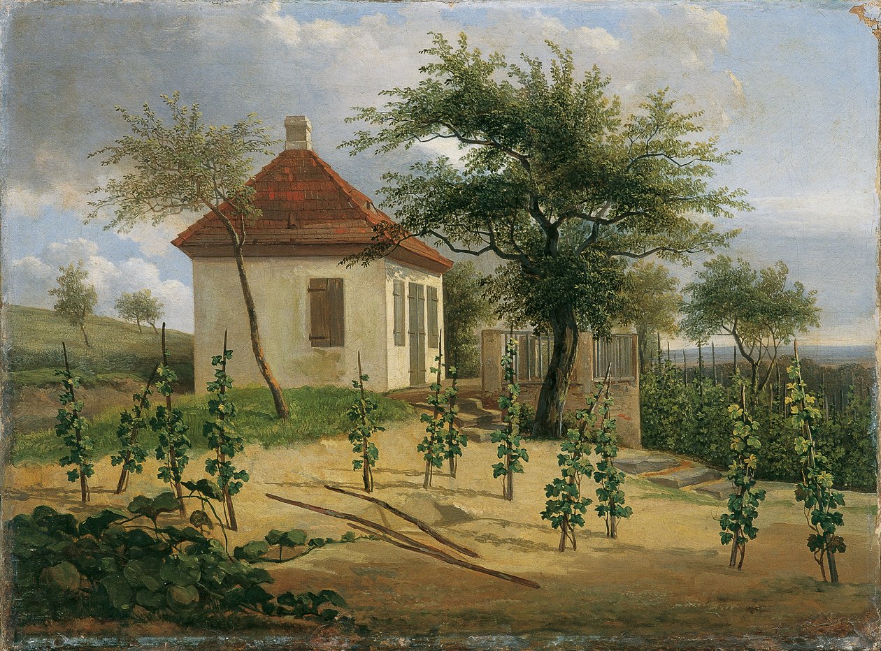 Padiglione sulla vigna del Dr. Körner presso Loschwitz da Karl Gottfried Traugott Faber