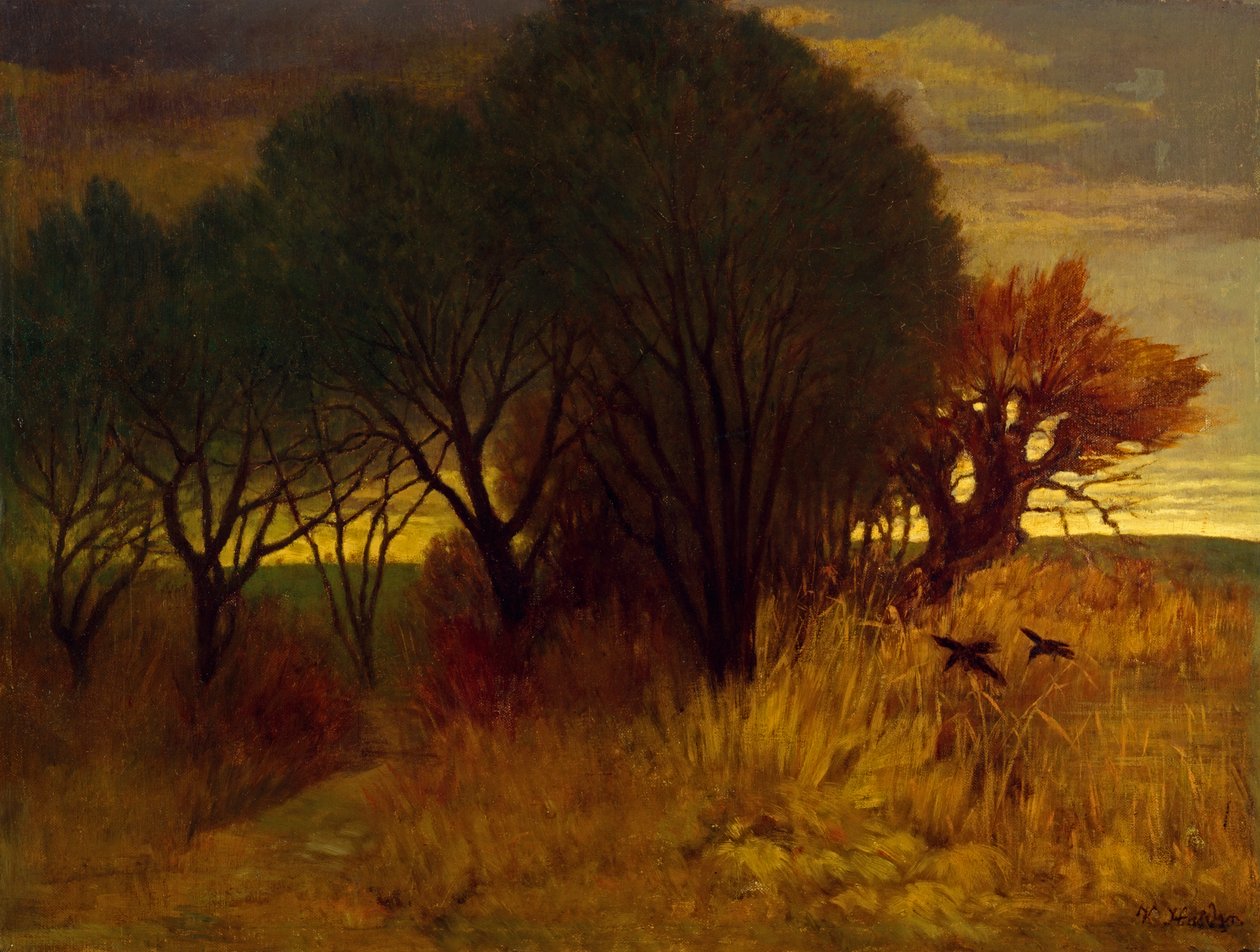 Paesaggio di brughiera da Karl Haider
