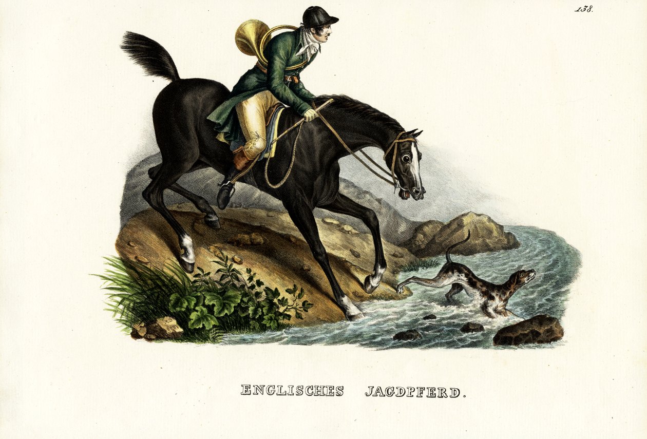 Cavallo da caccia inglese, 1824 da Karl Joseph Brodtmann
