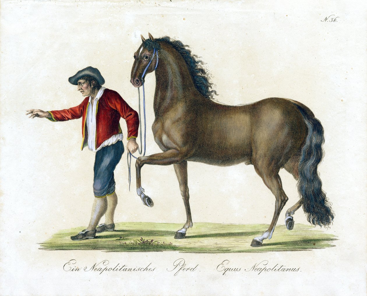  da Karl Joseph Brodtmann
